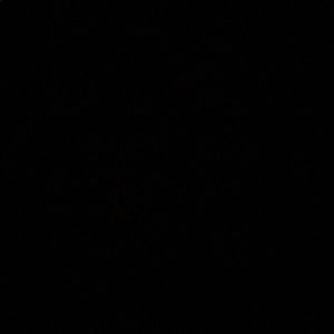 Meet your Posher, Samuel